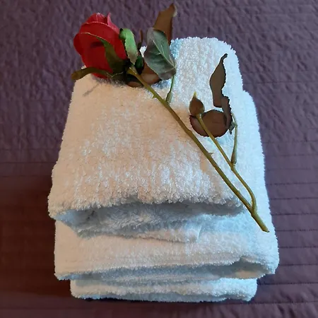 Center Boutique شقة